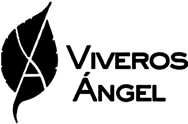 Logo Viveros Ángel - Cliente Auditecnic