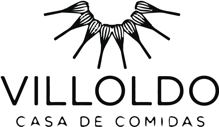 Logo Villoldo - Cliente Auditecnic