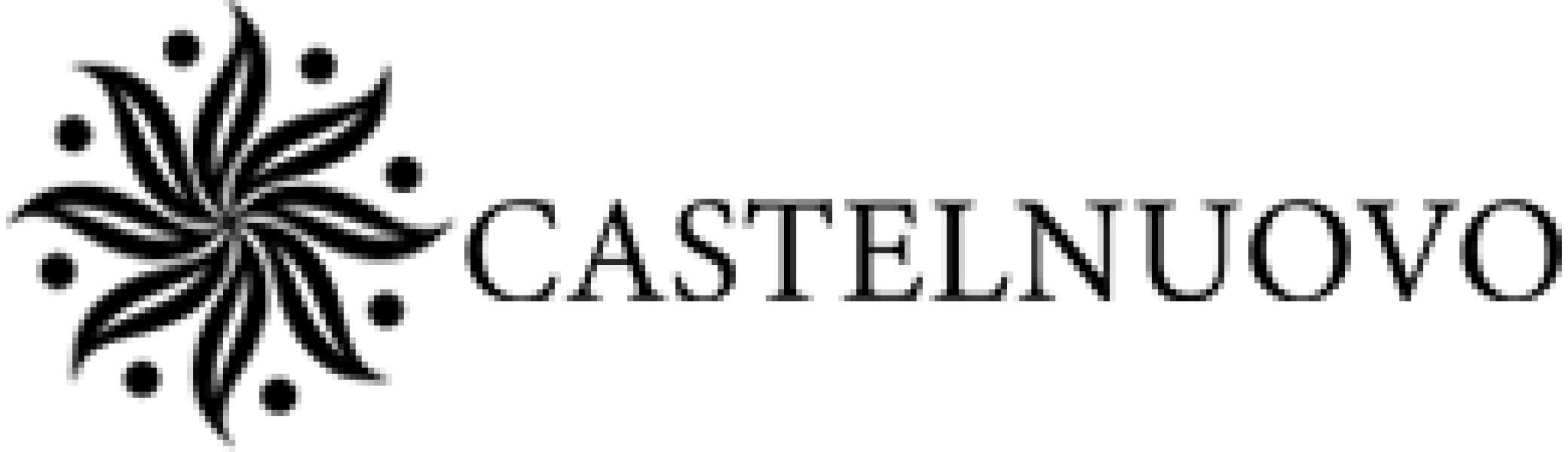 Logo Castelnuovo - Cliente Auditecnic